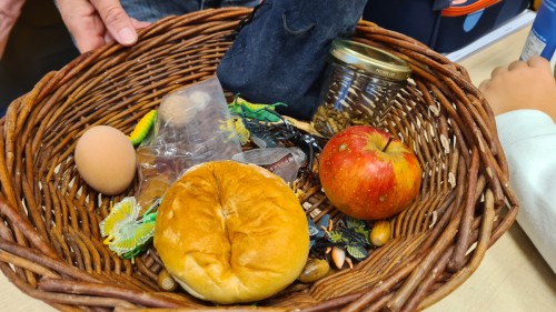 Igelprojekt Linden Grundschule Quiz was frisst der Igel c Stadt Velten Stefanie Steinicke Kreutzer